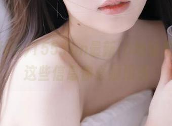 155.fun最新ip地址是多少，这些信息你必须知道