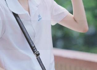 www.17网页推荐超人气动漫游戏风格排行榜