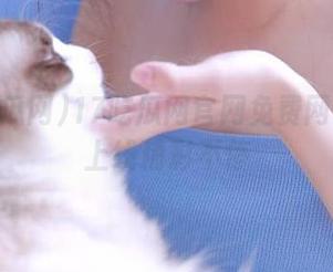 17吃瓜网官网免费网页全新上线精彩不停