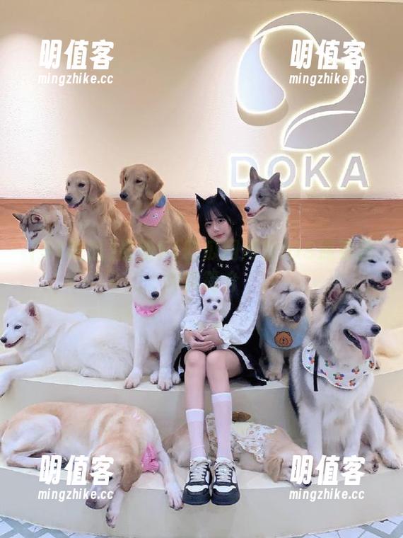 最新51吃瓜网网址iOS端更新内容简介