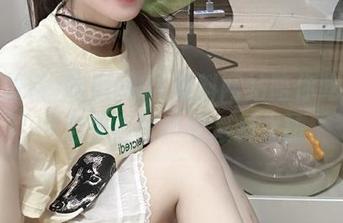 吃瓜网51爆料网站陪你吃瓜，开启永不迷路的爆料之旅