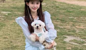 91吃瓜在线导航直达，快速锁定最热瓜事件！