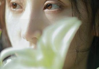 吃瓜导航视频资源丰富，最新播放地址全面汇总
