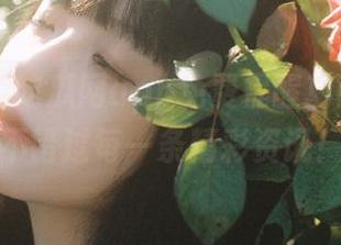吃瓜网app免费提醒功能，女生不错过每一条精彩资讯！