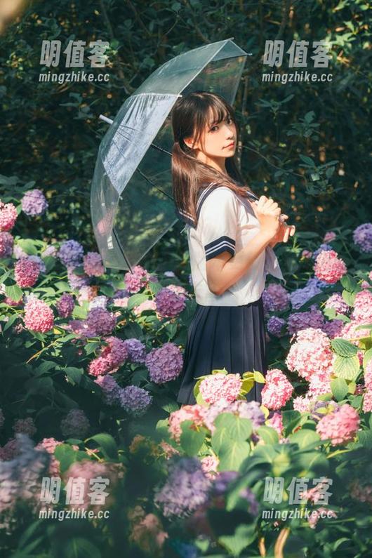 黑料91ios版本更新，黑料内容更加丰富