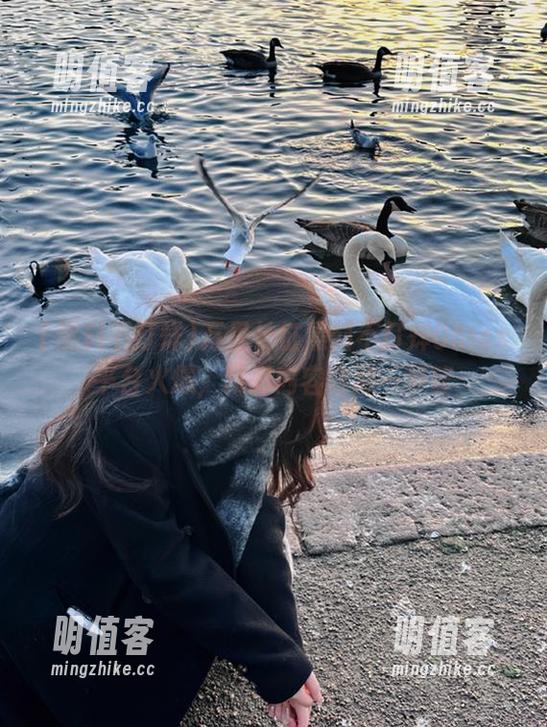 万里长征黑料不打烊06ios平台火爆，精彩内容收藏一箩筐