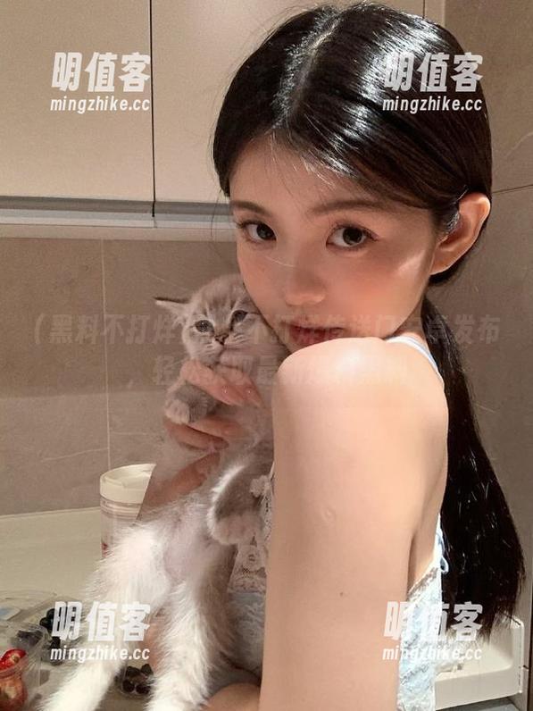 黑料不打烊传送门安卓发布，轻松获取最新爆料黑料