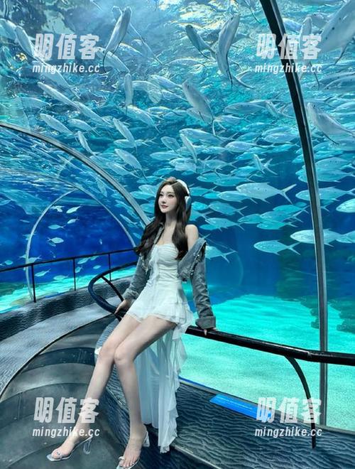 黑料不打烊官网最新地址上线，观看方式全解析