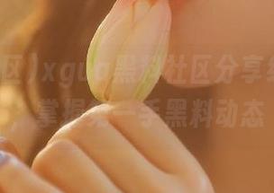 xgua黑料社区分享线路解析，掌握第一手黑料动态