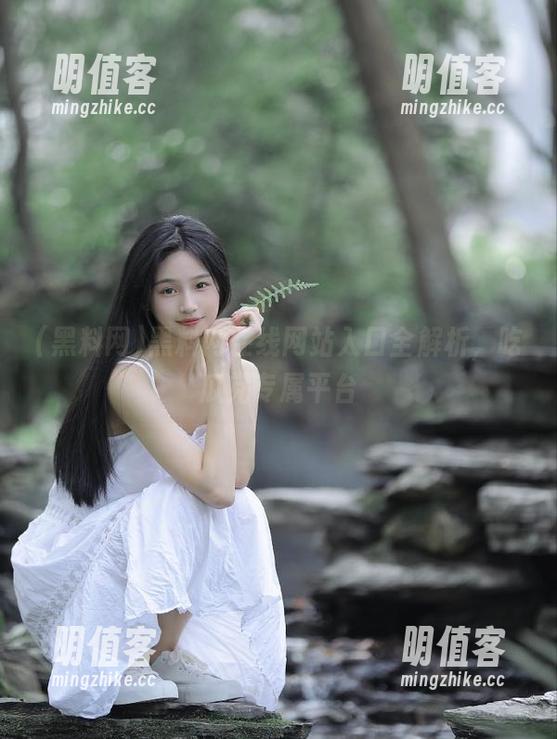 黑料网在线网站入口全解析，吃瓜党专属平台